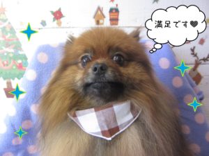 ポン太ちゃん施術後