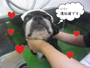 MIXのポコちゃんスパ中