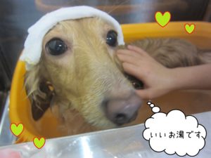 MDのゆめちゃんスパ中