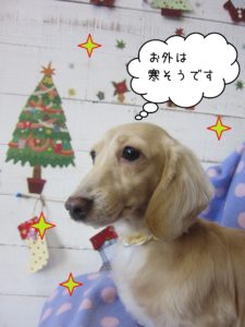 MDのゆめちゃん施術後