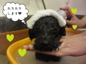 TPのリンちゃんスパ中