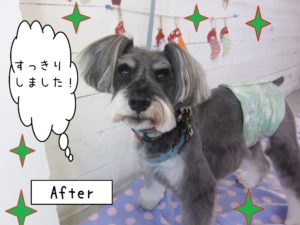 仕上がりMシュナ