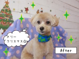 仕上がりミックス