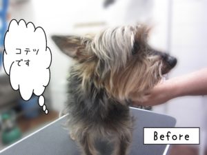 よろしくミックス