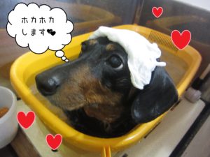 MDのチェリーちゃんスパ中