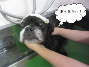 お風呂ミックス