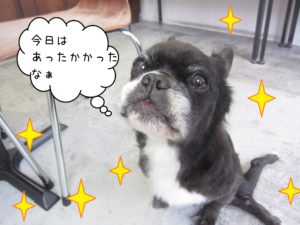 仕上がりミックス