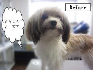 よろしくミックス