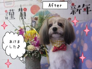 仕上がりミックス