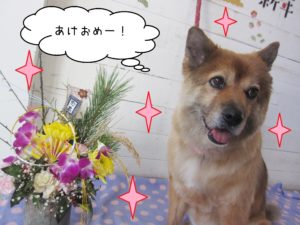 仕上がりミックス