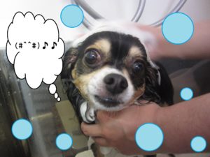 シャンプーミックス