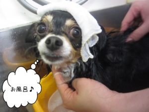 お風呂ミックス