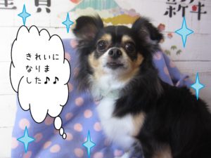 仕上がりミックス