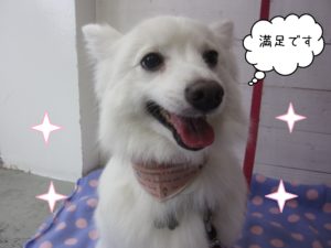 SPのモナちゃん施術後