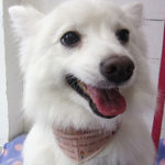 モナちゃんアイキャッチ