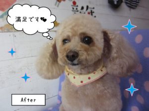 TPのモコちゃん施術後