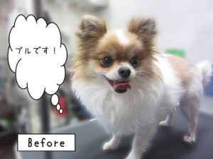 よろしくミックス