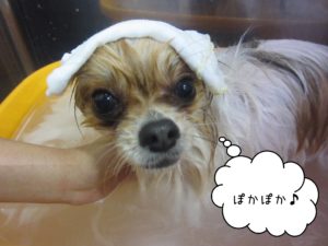 お風呂ミックス