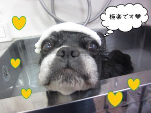 MIXのポコちゃんスパ中