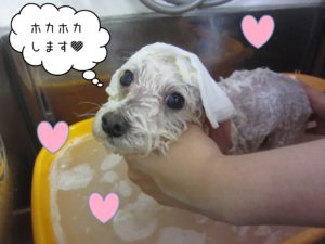 TPのカン太ちゃんスパ中