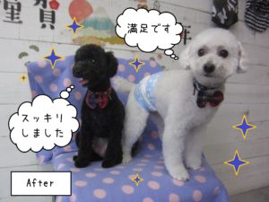 TPのカン太ちゃんリンちゃん施術後