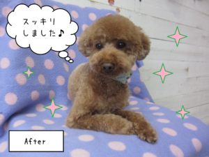 TPのゆずちゃん施術後