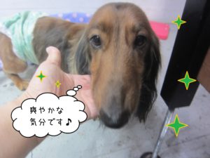 MDのれおんちゃん施術後