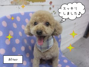 TPのマルちゃん施術後