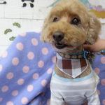 ケイちゃんアイキャッチ