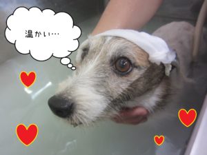 JRのキキちゃんスパ中