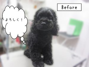 よろしくミックス