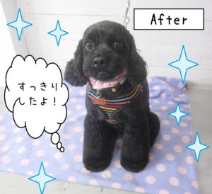 仕上がりミックス