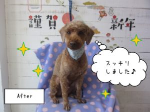 TPの大悟ちゃん施術後