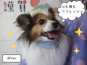 PPのメルちゃん施術後