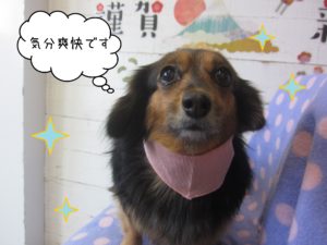 MIXの小春ちゃん施術後