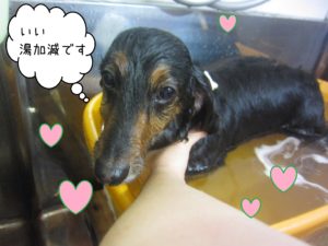 MDの翔ちゃんスパ中