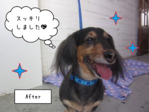 MDの翔ちゃん施術後