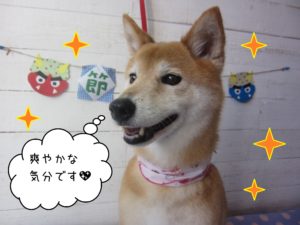 仕上がりミックス