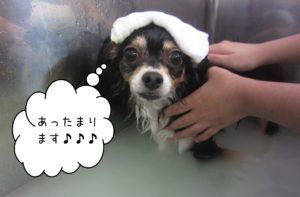 お風呂ミックス