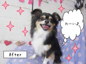 仕上がりミックス