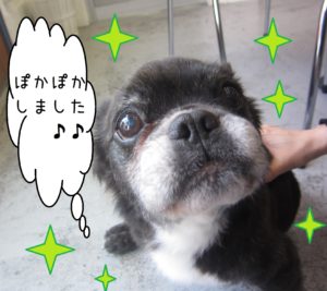 仕上がりミックス