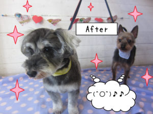 仕上がりミックス