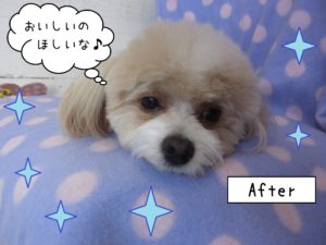 仕上がりミックス