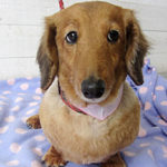 アールちゃんアイキャッチ