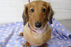 アールちゃんアイキャッチ