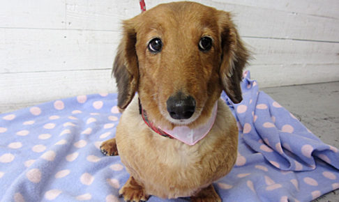 アールちゃんアイキャッチ