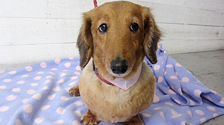 アールちゃんアイキャッチ