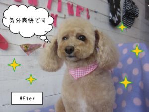 TPのモコちゃん施術後