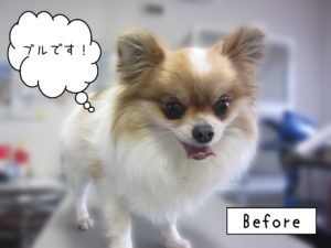 よろしくミックス