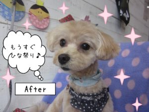 仕上がりミックス